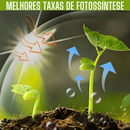 PlantMax - Potencialize seu Jardim | 22 Cápsulas | Frete Grátis
