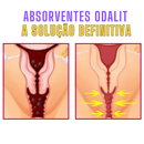 Absorventes  ODALIT™ - (Tratamento Completo 1 MÊS) - Frete Grátis