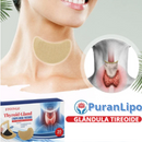 PuranLipo - Kit de Adesivos Para Tratamento De Tireoide